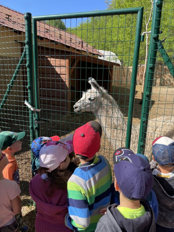 FARMAPARK U TOMA – Želvičky a Žabičky