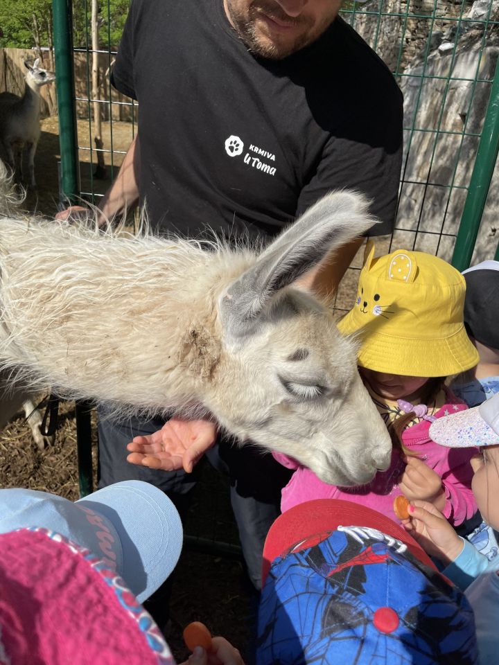 FARMAPARK U TOMA – Želvičky a Žabičky