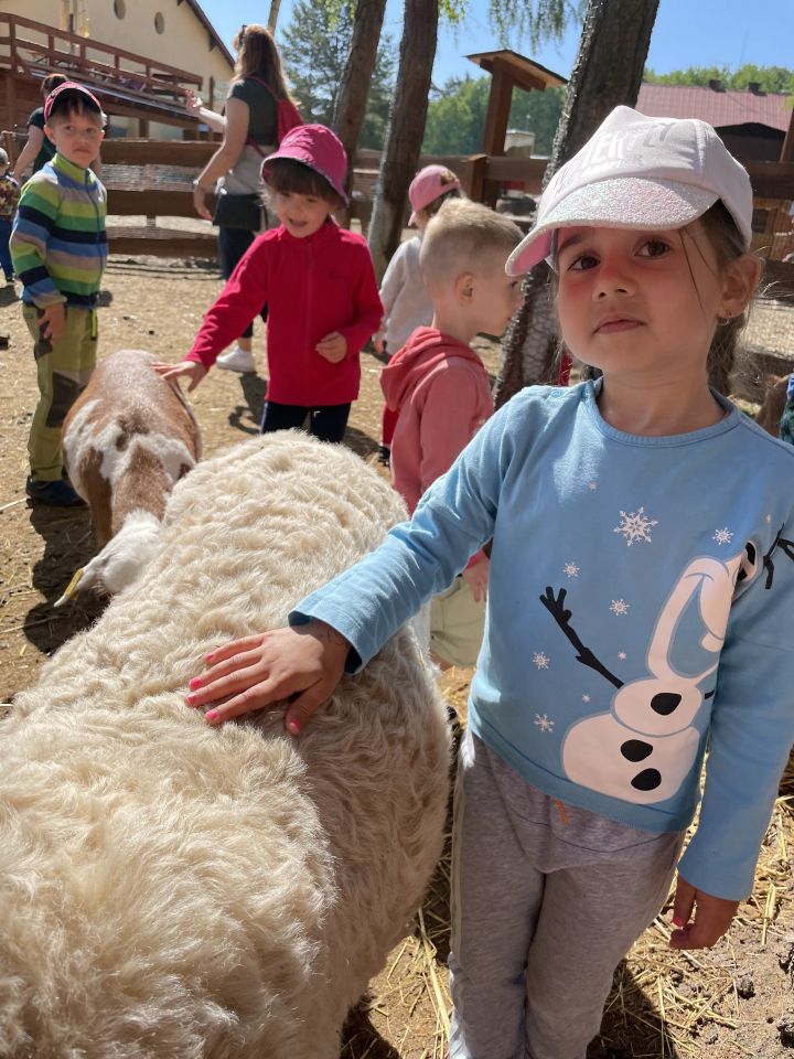 FARMAPARK U TOMA – Želvičky a Žabičky