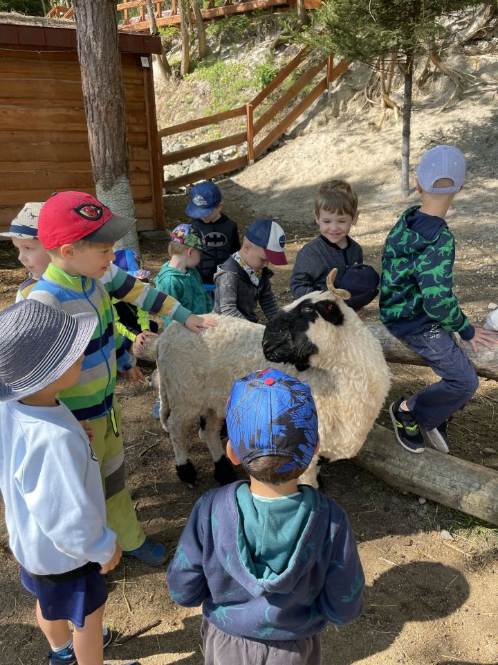 FARMAPARK U TOMA – Želvičky a Žabičky