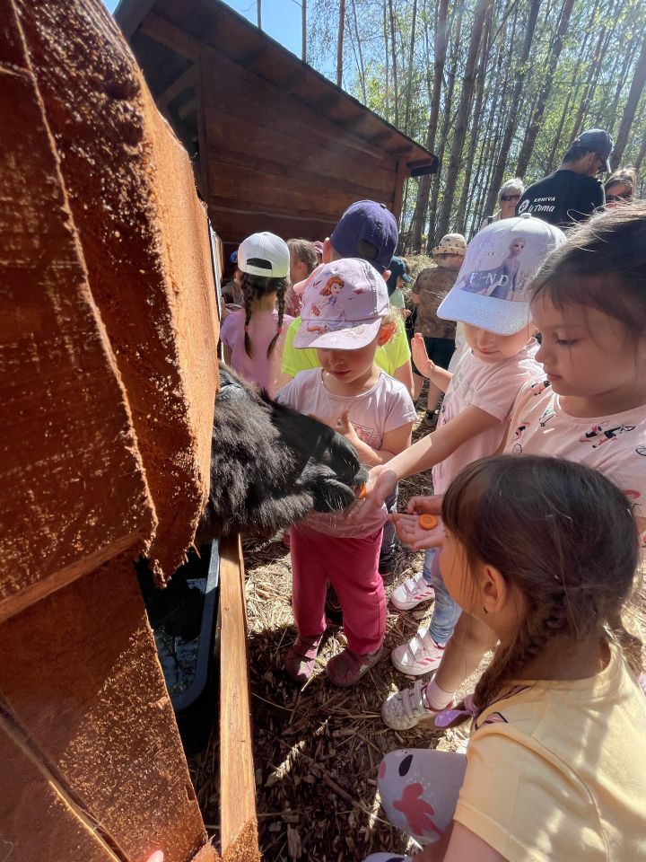 FARMAPARK U TOMA – Želvičky a Žabičky