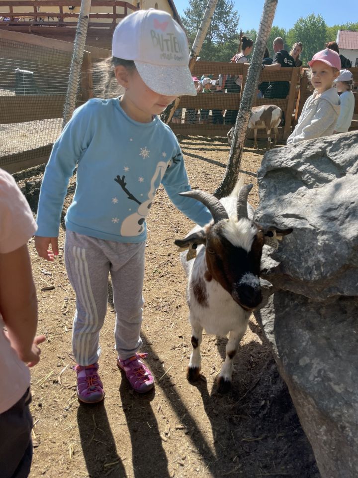 FARMAPARK U TOMA – Želvičky a Žabičky