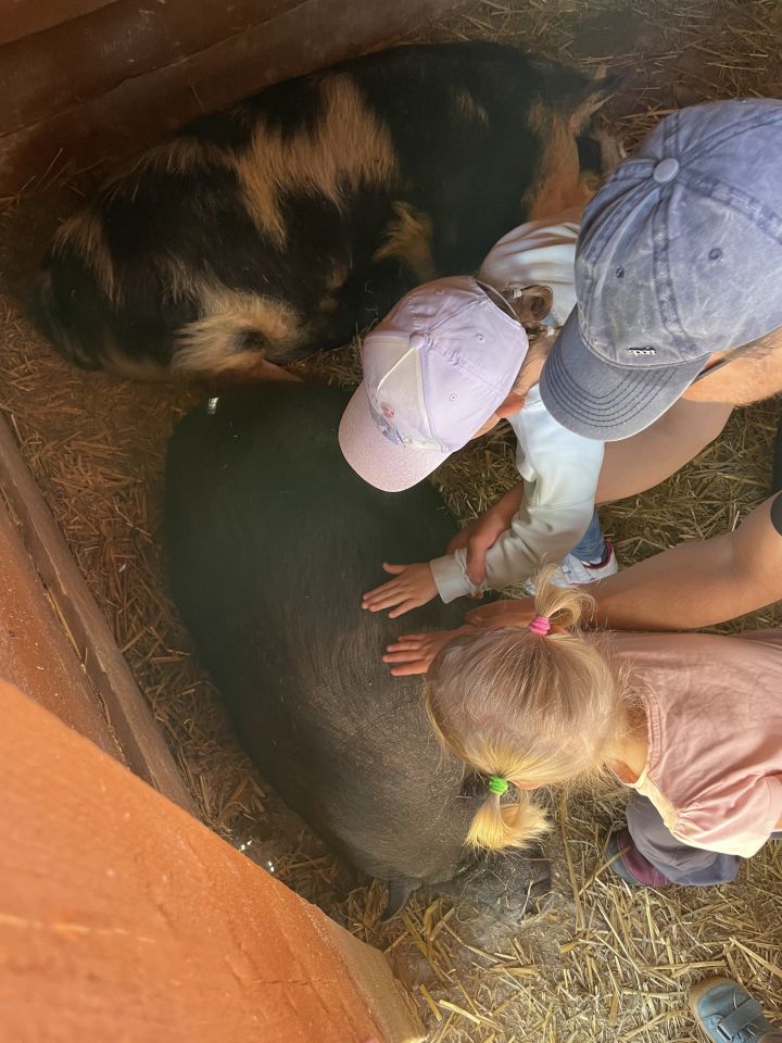 FARMAPARK U TOMA – Želvičky a Žabičky