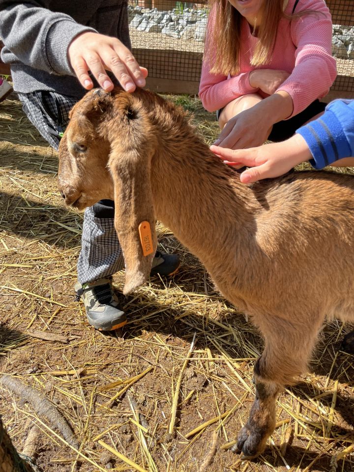 FARMAPARK U TOMA – Želvičky a Žabičky