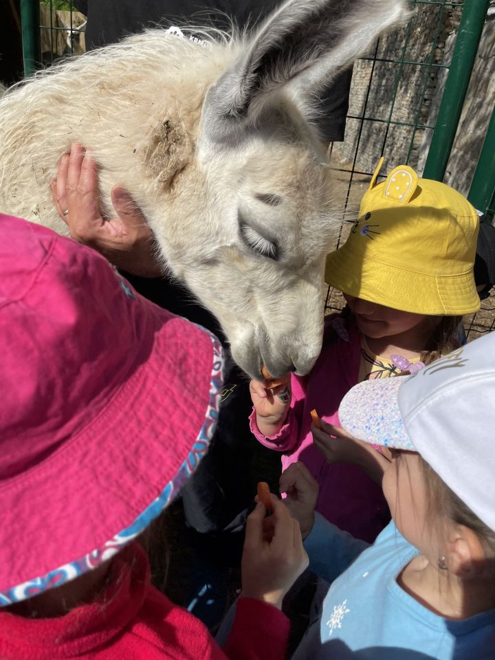 FARMAPARK U TOMA – Želvičky a Žabičky