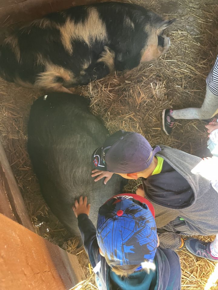 FARMAPARK U TOMA – Želvičky a Žabičky