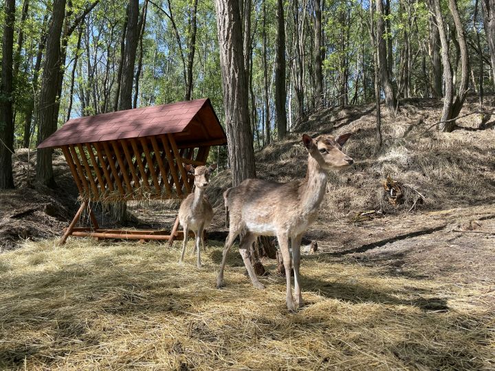 FARMAPARK U TOMA – Želvičky a Žabičky