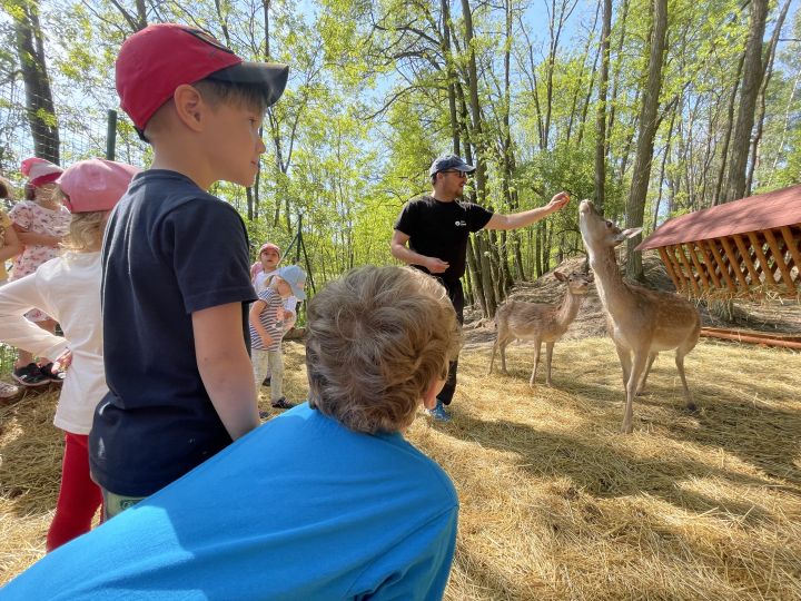 FARMAPARK U TOMA – Želvičky a Žabičky