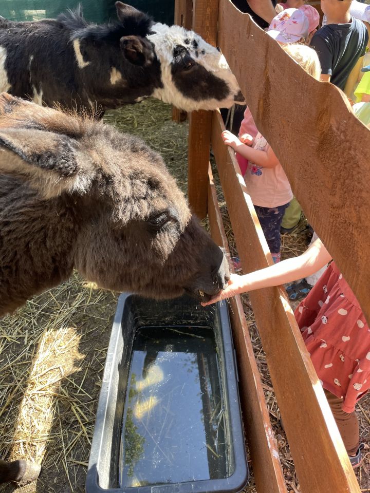 FARMAPARK U TOMA – Želvičky a Žabičky