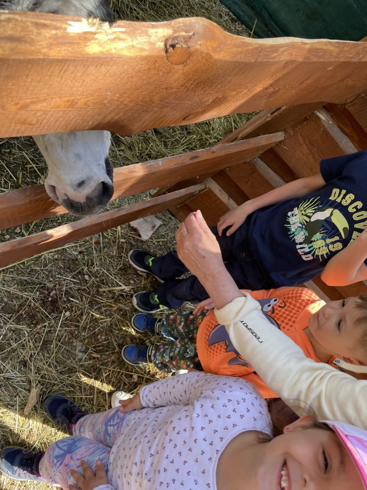 FARMAPARK U TOMA – Želvičky a Žabičky