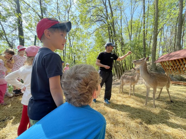 FARMAPARK U TOMA – Želvičky a Žabičky