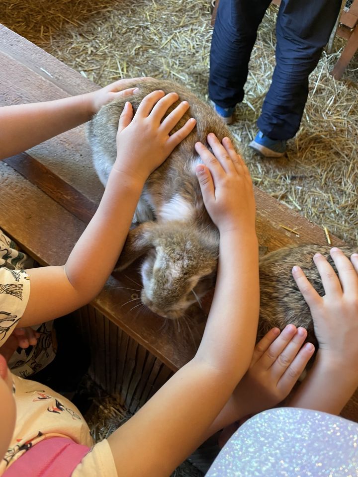 FARMAPARK U TOMA – Želvičky a Žabičky