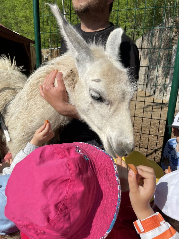 FARMAPARK U TOMA – Želvičky a Žabičky