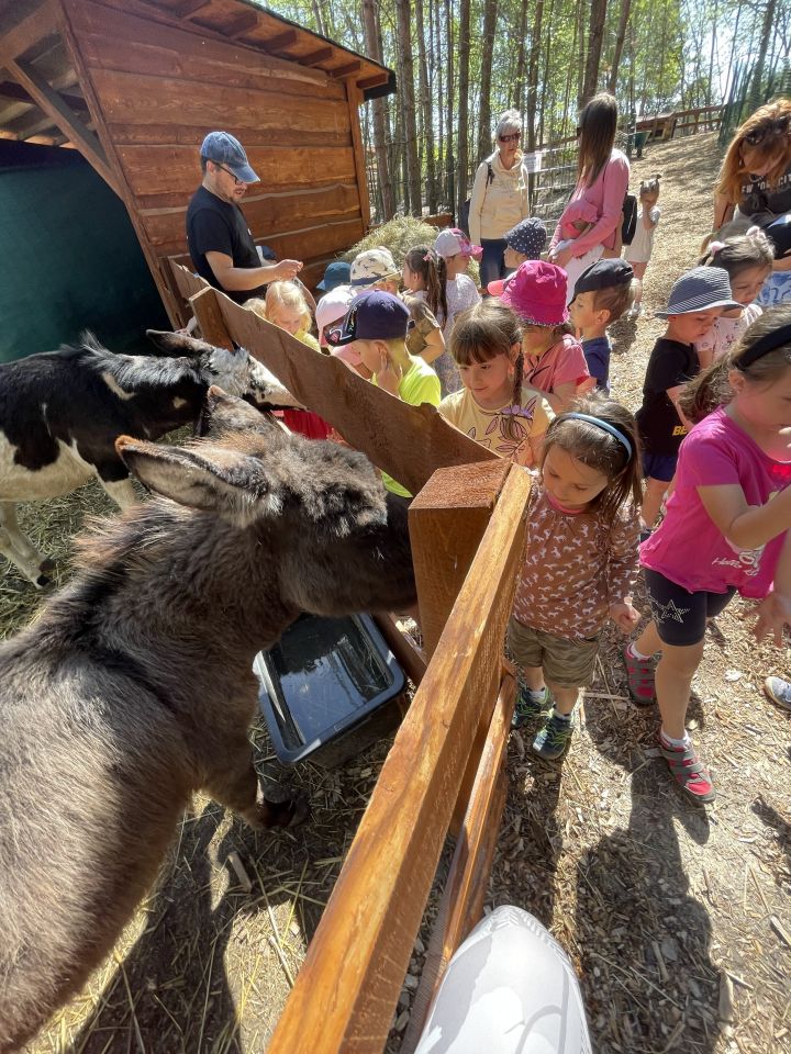 FARMAPARK U TOMA – Želvičky a Žabičky