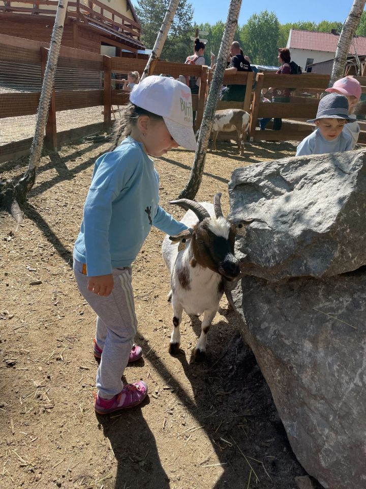 FARMAPARK U TOMA – Želvičky a Žabičky