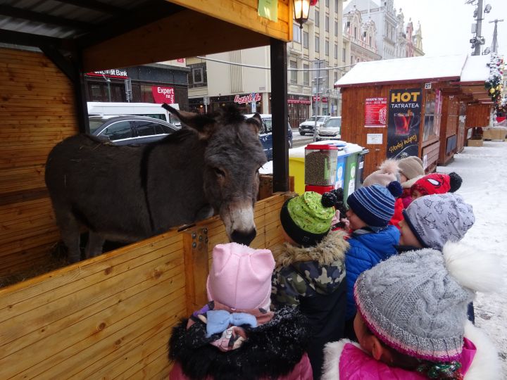 Vánoční trhy na náměstí-Žabky 16.12.